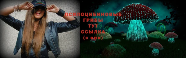 метадон Каменка