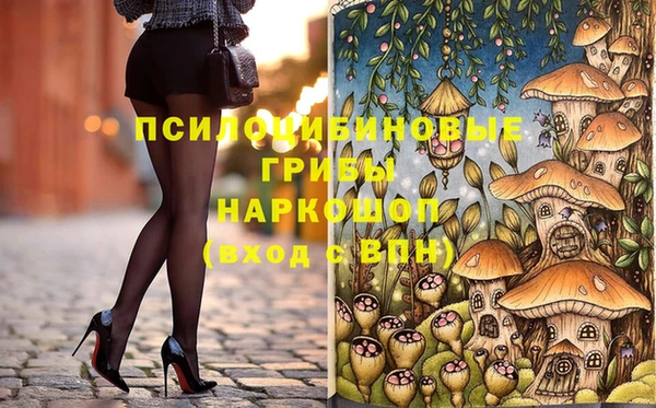 дживик Каменск-Шахтинский