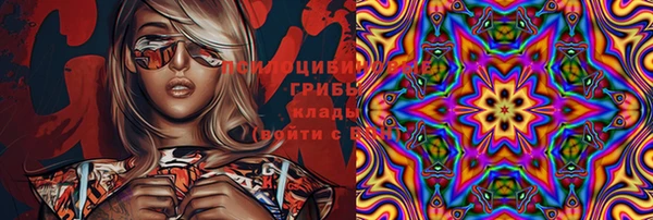 дживик Каменск-Шахтинский