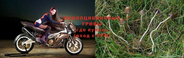 метадон Каменка