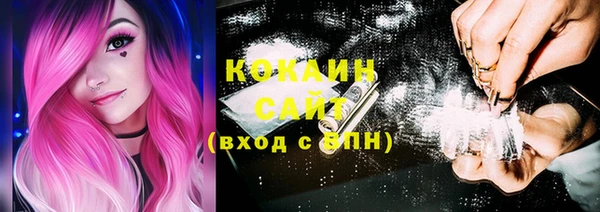 дживик Каменск-Шахтинский